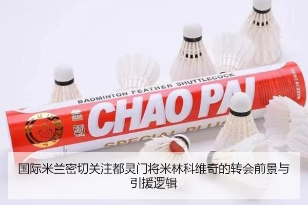 国际米兰密切关注都灵门将米林科维奇的转会前景与引援逻辑